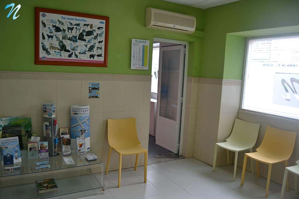 clinica veterinaria dr  nieto veterinario clinica barrio badajoz en badajoz en badajoz principalImage ADOPTA Sitios Pet Friendly