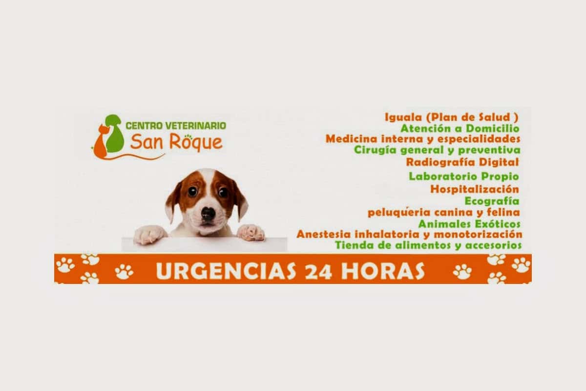 clinica veterinaria badajoz san roque veterinario clinica barrio badajoz en badajoz en badajoz principalImage ADOPTA Sitios Pet Friendly