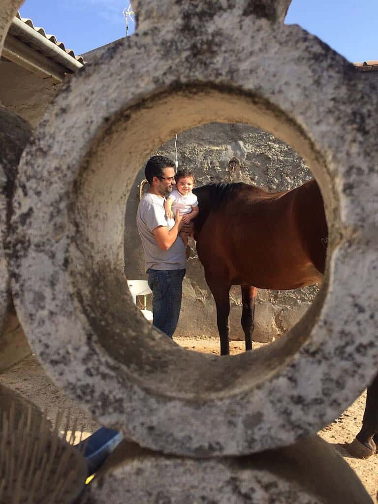 CLINIVEX CENTROS VETERINARIOS
