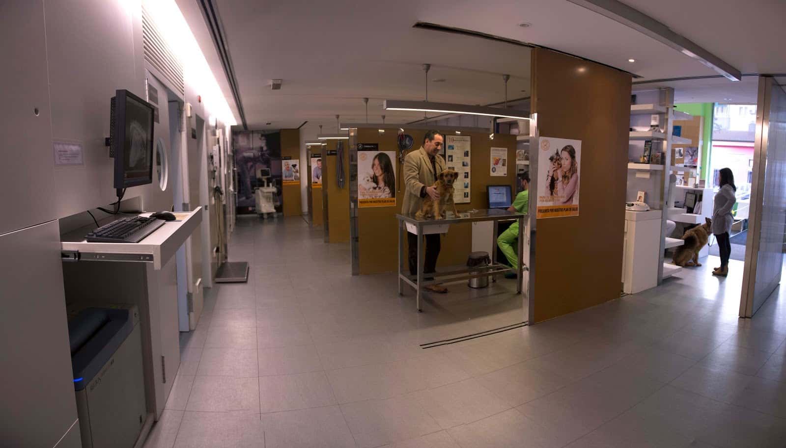 DOVET Clínica Veterinaria