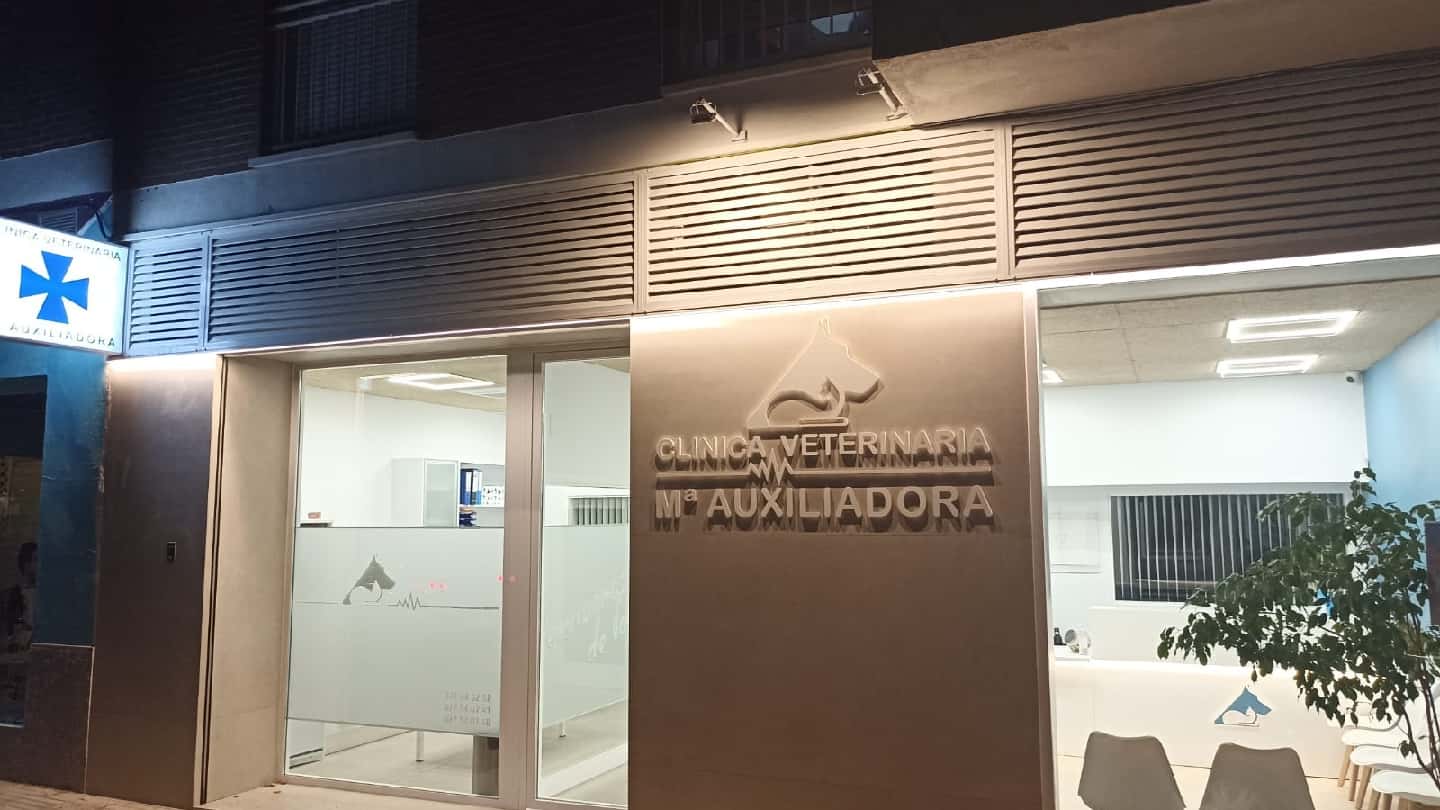 clinica veterinaria maria auxiliadora veterinario clinica barrio badajoz en badajoz en badajoz principalImage ADOPTA Sitios Pet Friendly