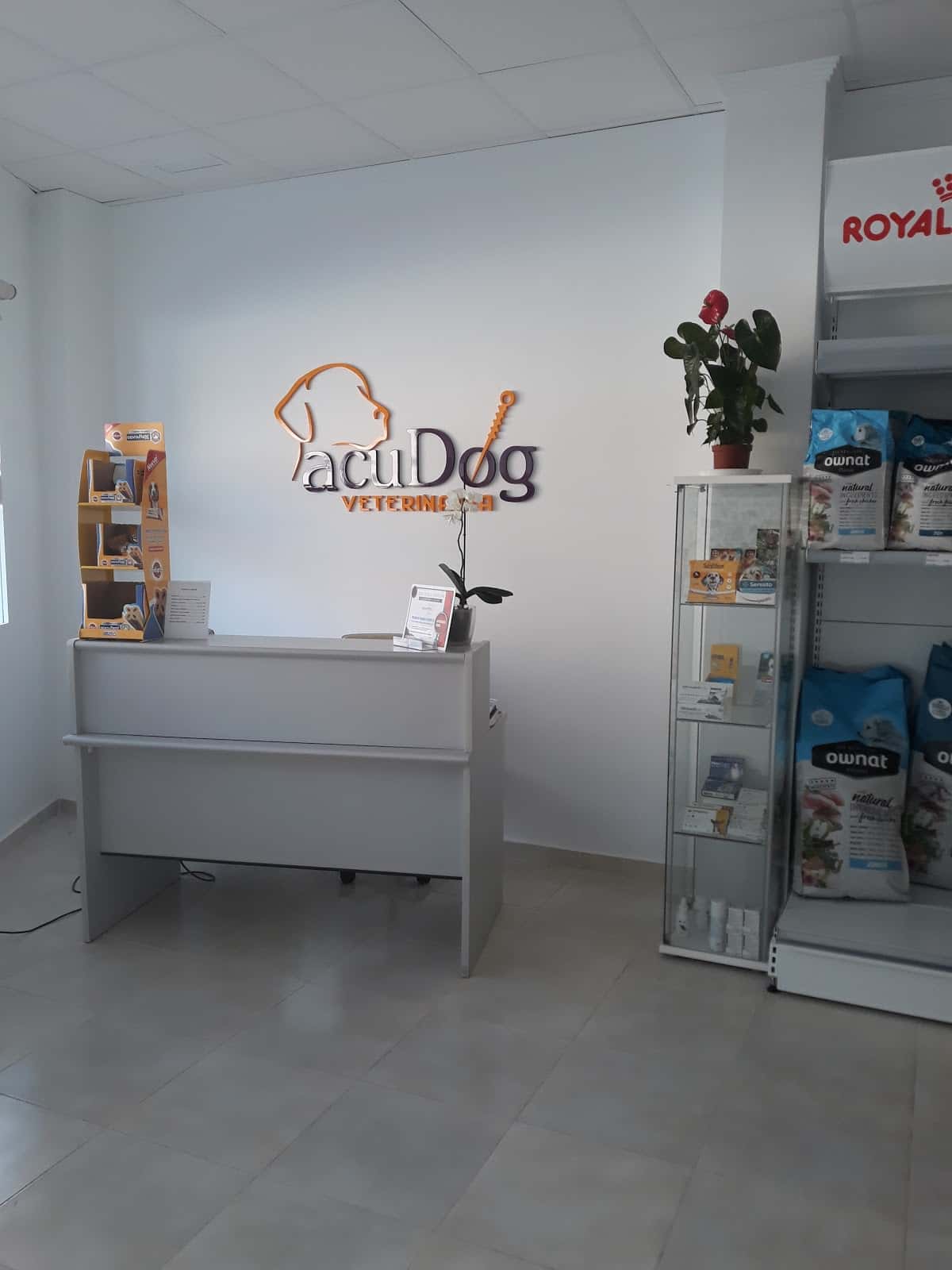 acudog veterinaria veterinario centro en villanueva de la serena en badajoz principalImage ADOPTA Sitios Pet Friendly