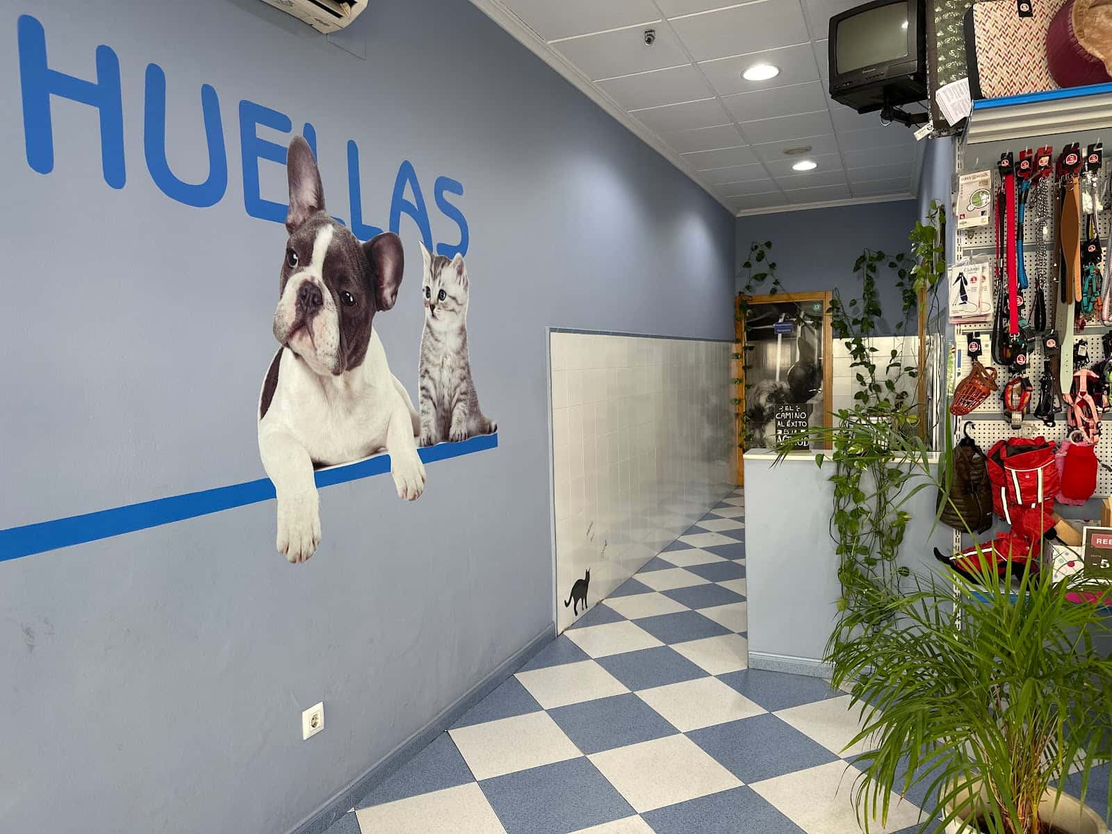 Huellas Clinica Veterinaria
