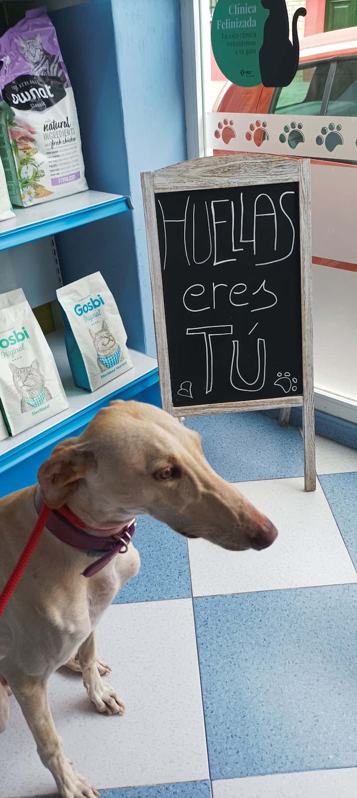 huellas clinica veterinaria veterinario clinica en villanueva de la serena en badajoz principalImage ADOPTA Sitios Pet Friendly