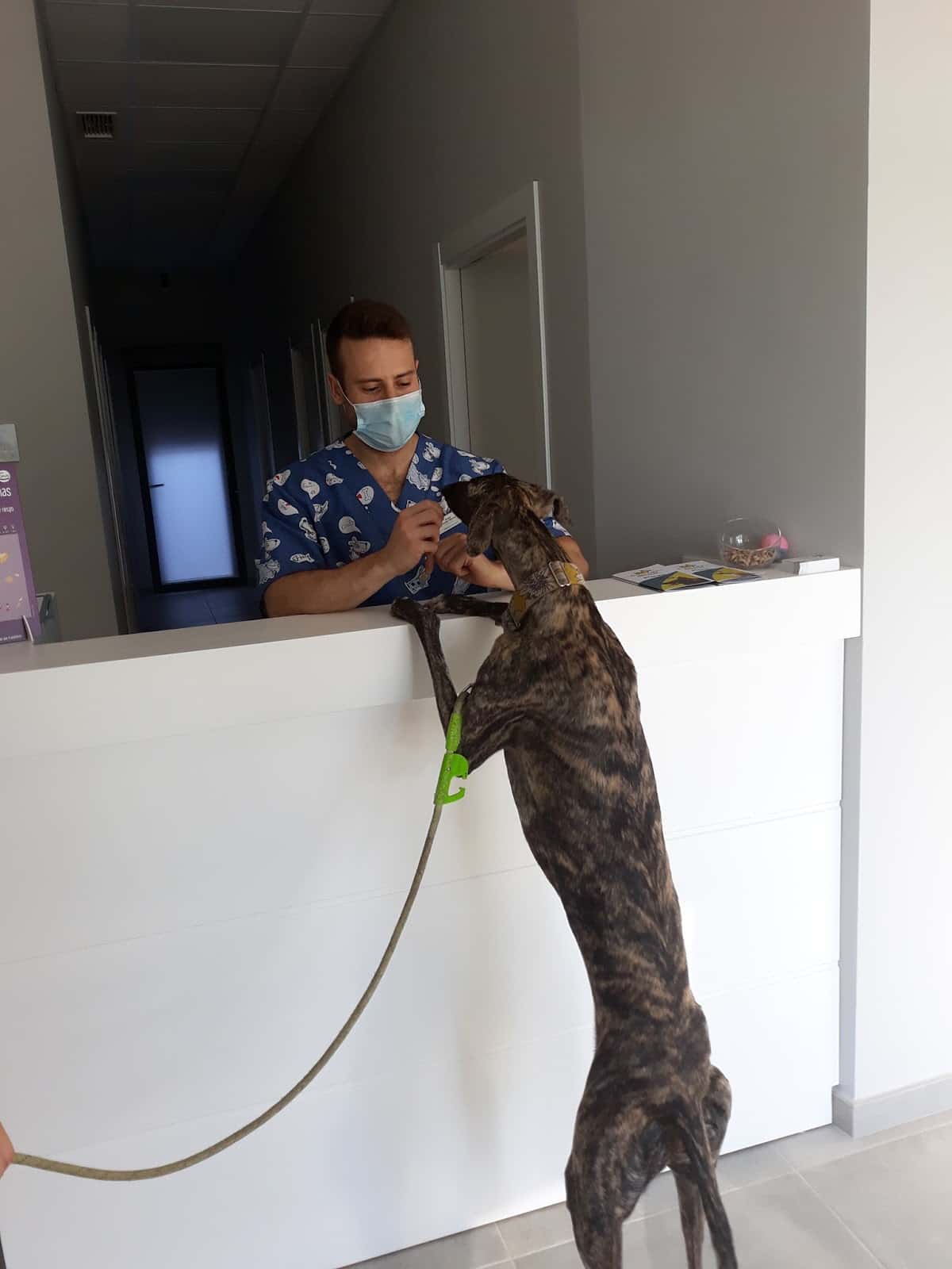 Clínica Veterinaria Bregus