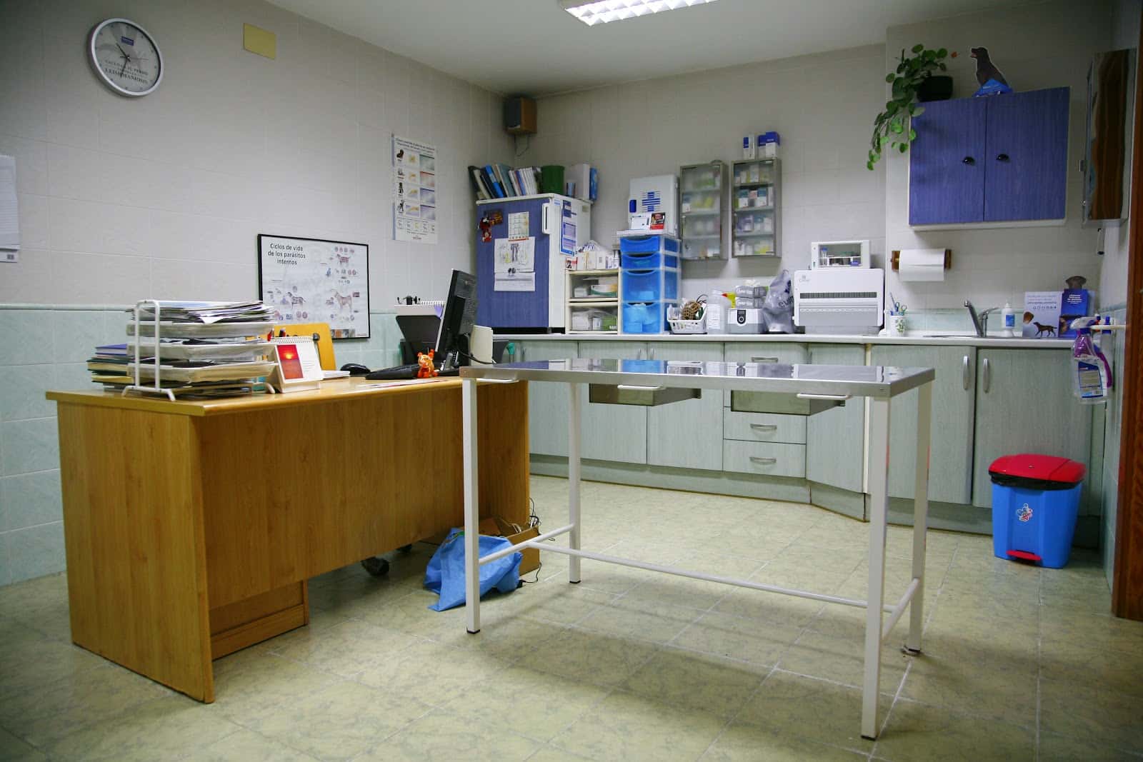 clinica veterinaria lares veterinario clinica en villanueva de la serena en badajoz principalImage ADOPTA Sitios Pet Friendly