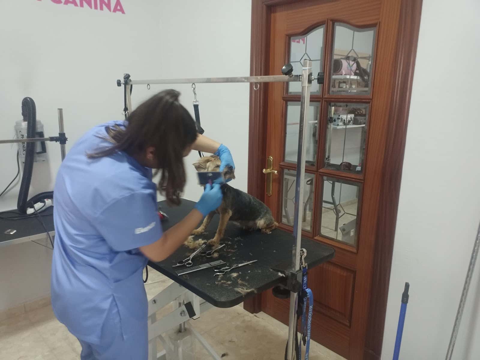 GLOBALVET VETERINARIOS