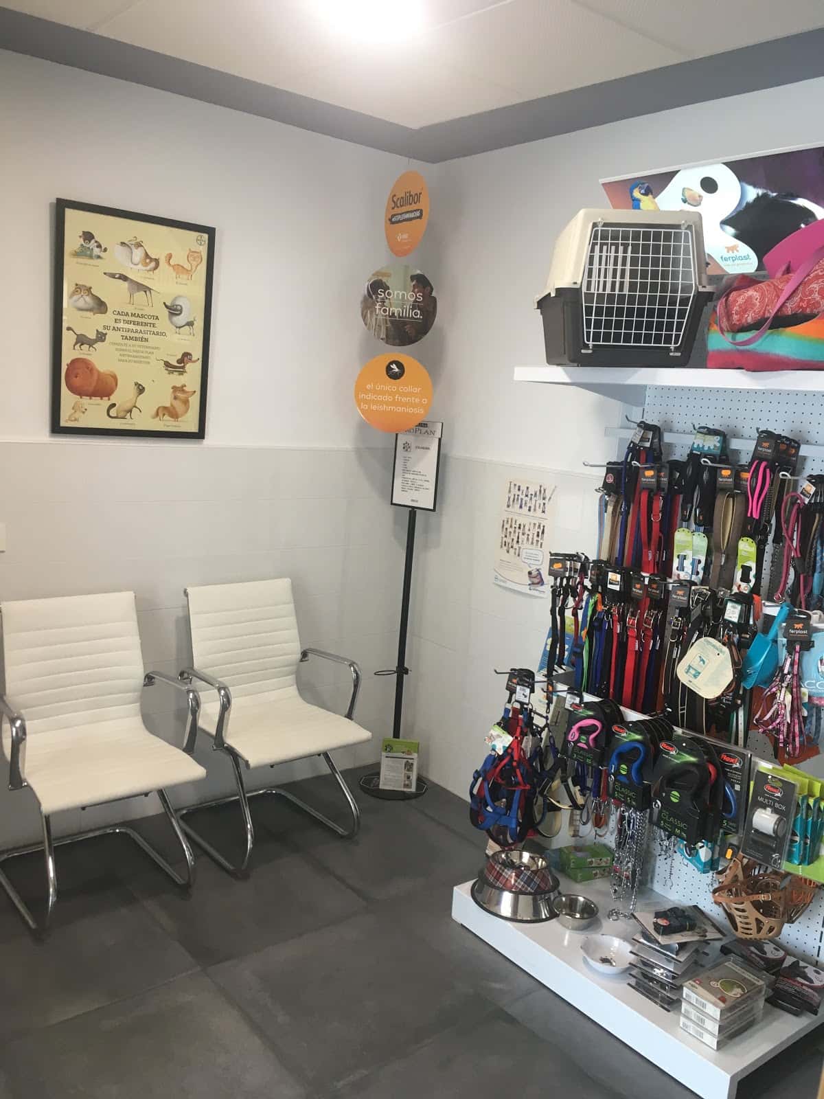 clinica veterinaria juan manuel cabo veterinario clinica en montijo en badajoz principalImage ADOPTA Sitios Pet Friendly