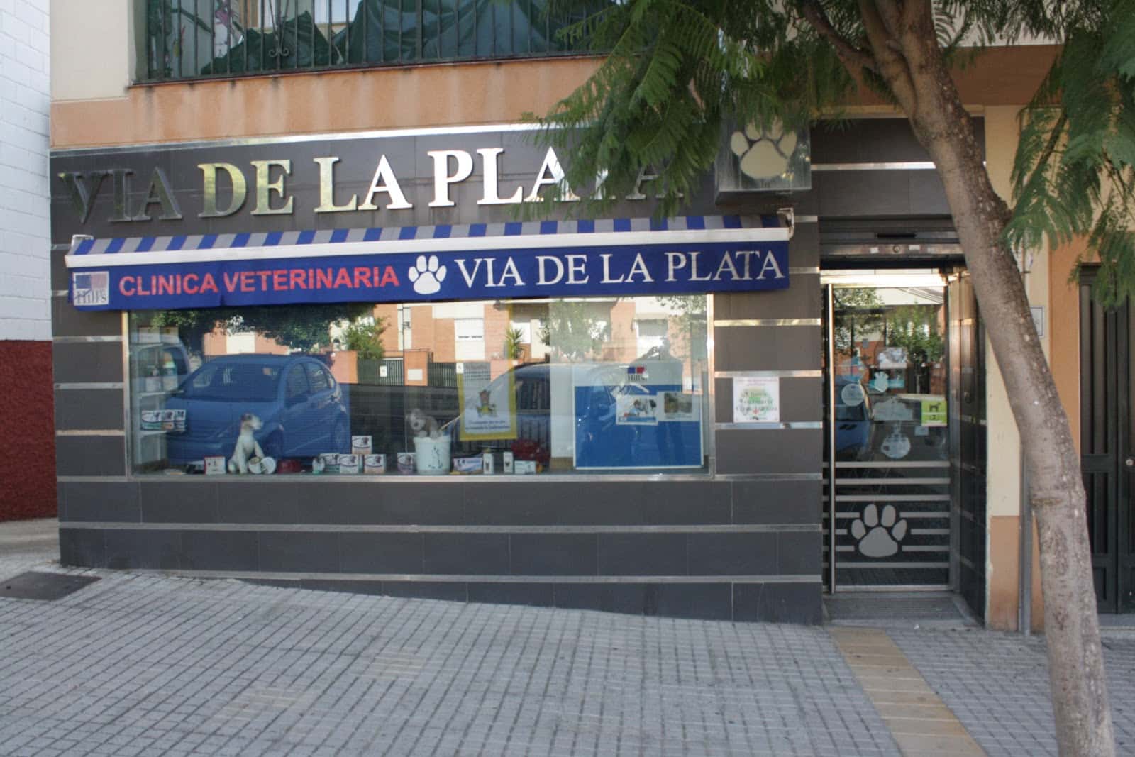 clinica veterinaria via de la plata veterinario clinica en merida en badajoz photo undefined ADOPTA Sitios Pet Friendly