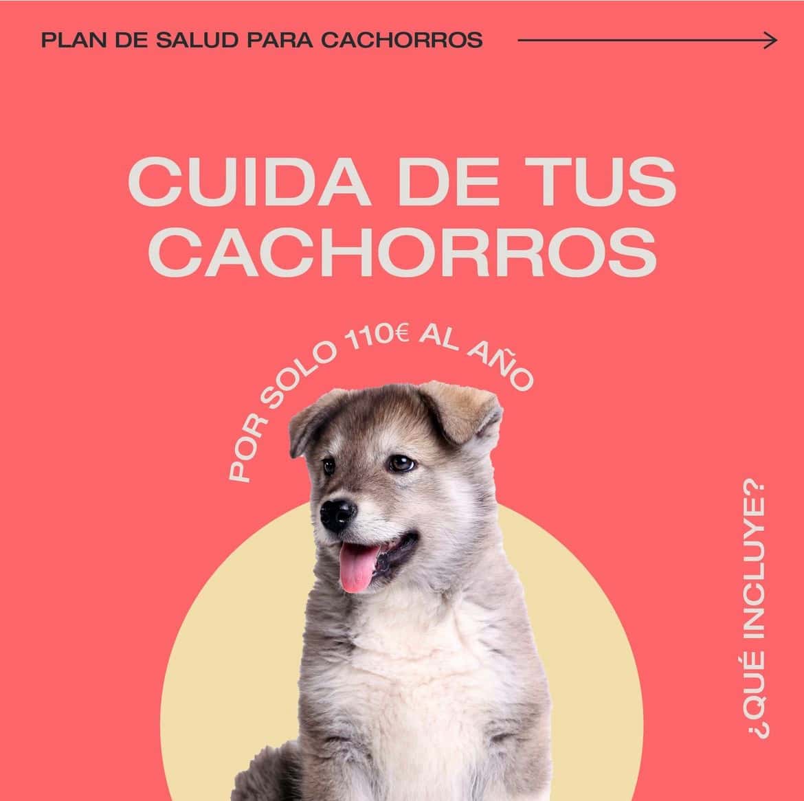 Clínica Veterinaria Vetium