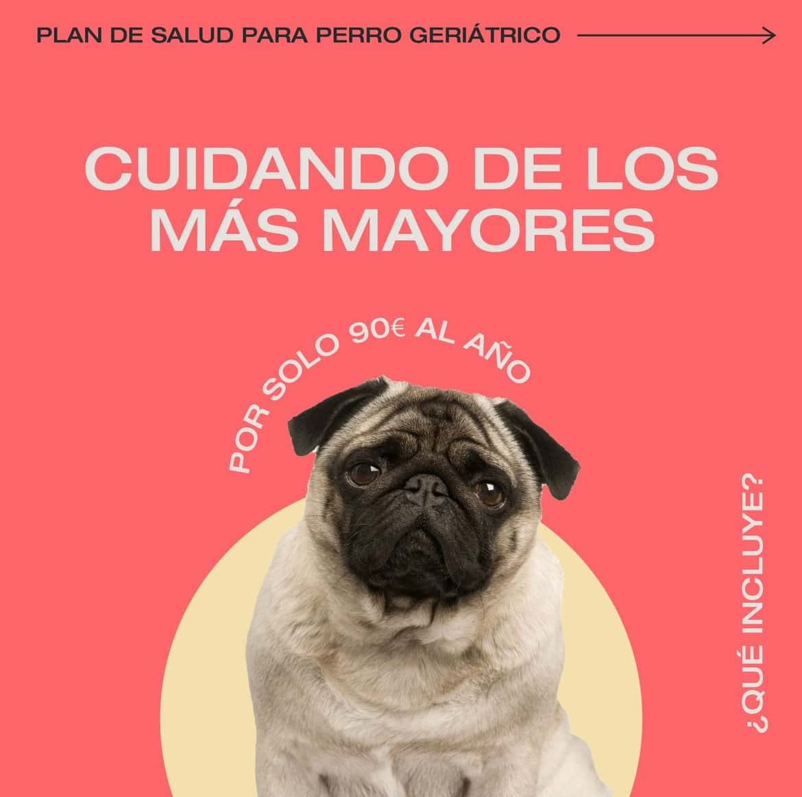 Clínica Veterinaria Vetium