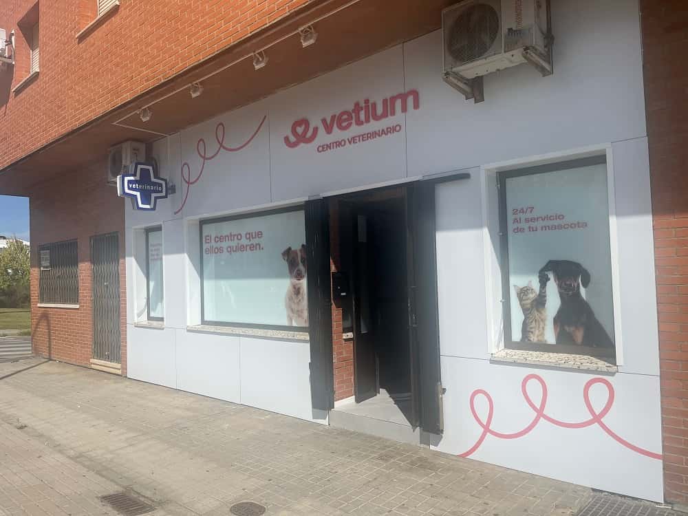 clinica veterinaria vetium veterinario clinica en merida en badajoz photo undefined ADOPTA Sitios Pet Friendly