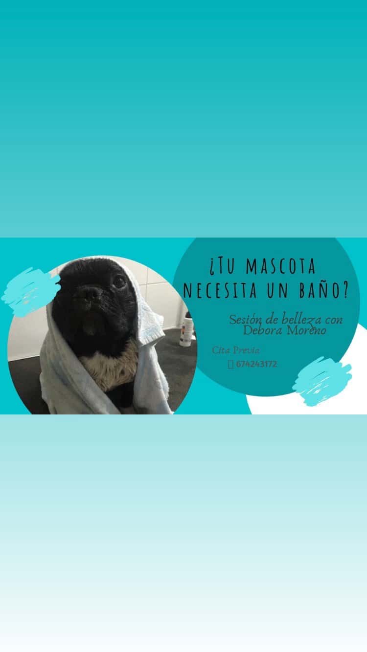 Veterinaria D. Moreno