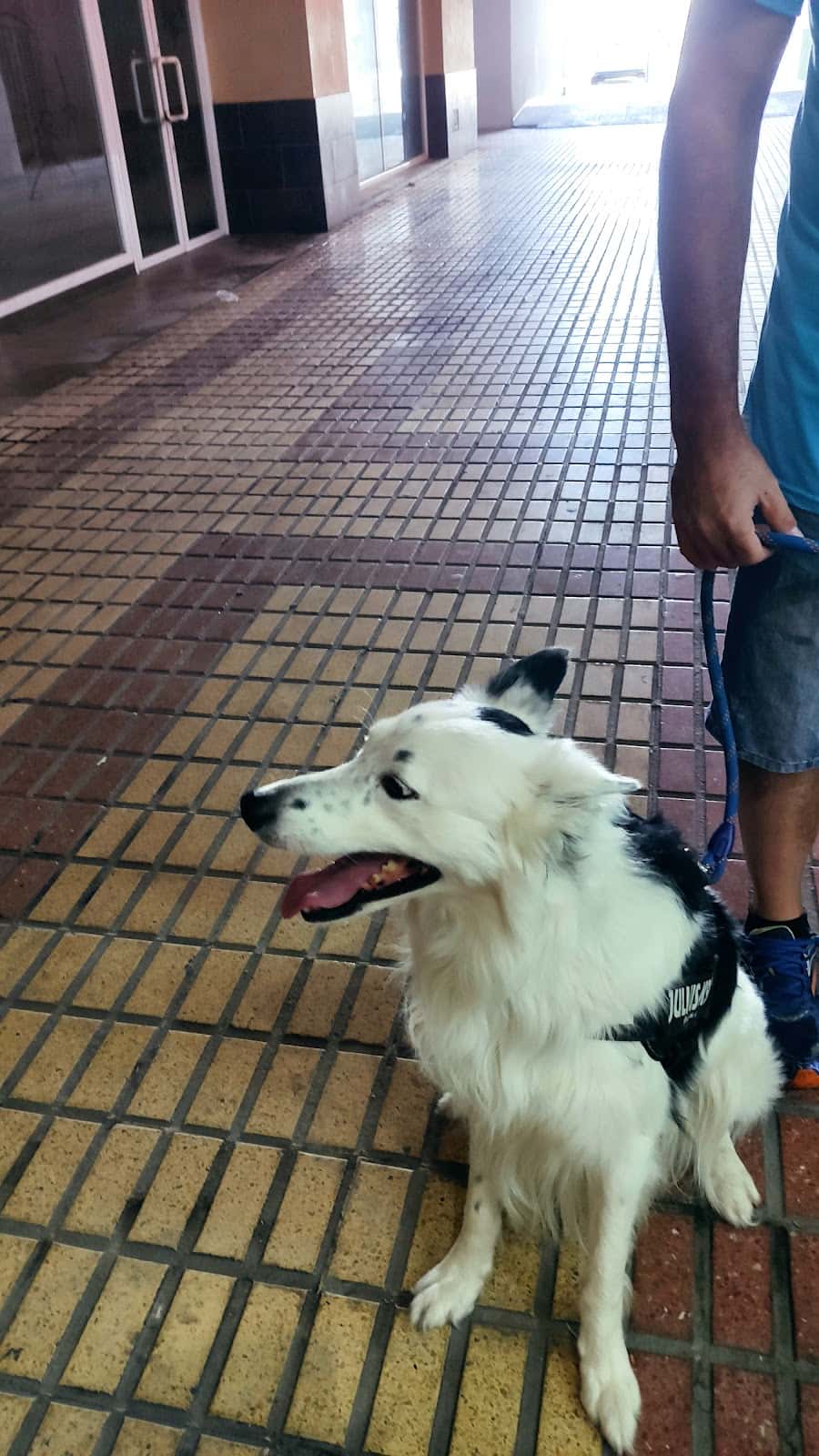 CENTRO VETERINARIO ACQUA-ZOO