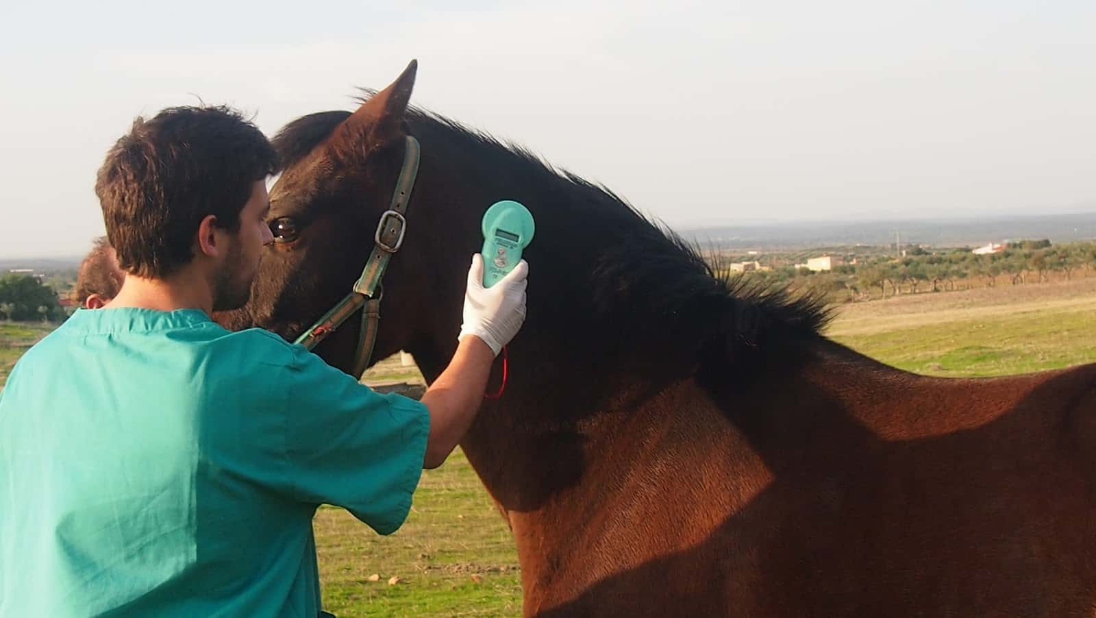 CLÍNICA VETERINARIA GAVETEX - GUAREÑA