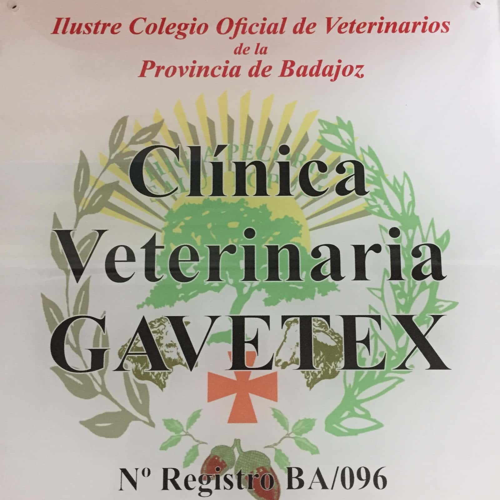 clinica veterinaria gavetex   guarena veterinario clinica en guarena en badajoz principalImage ADOPTA Sitios Pet Friendly
