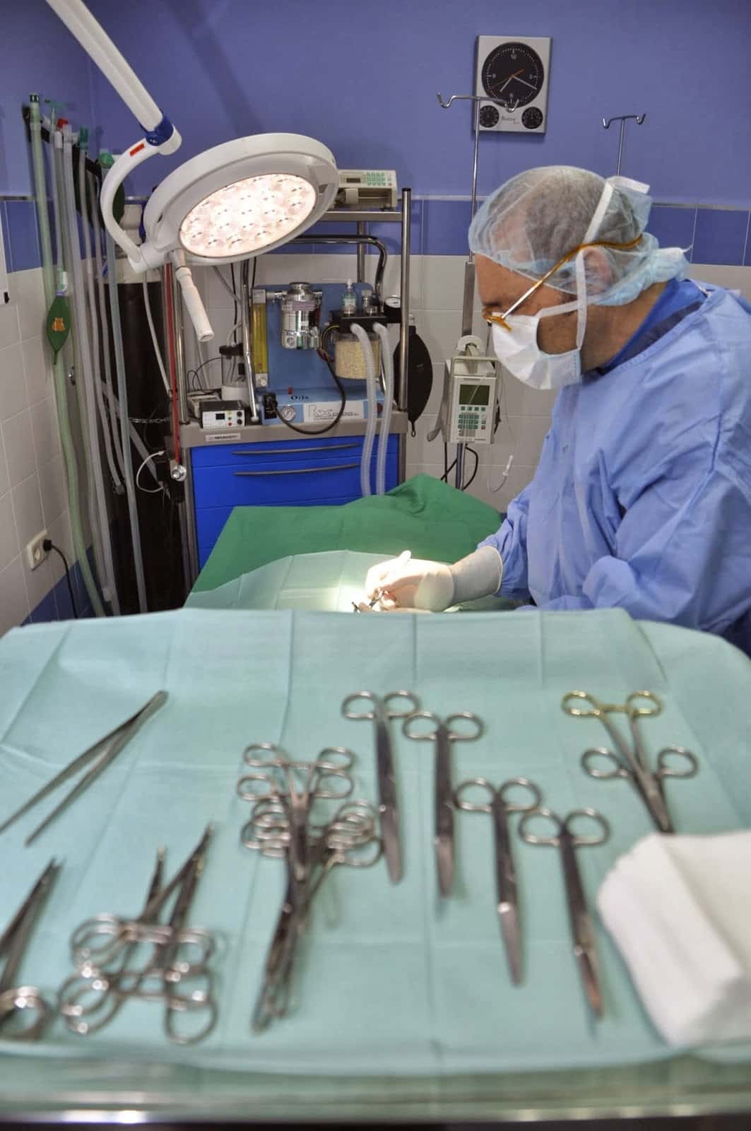 Neovet Veterinarios