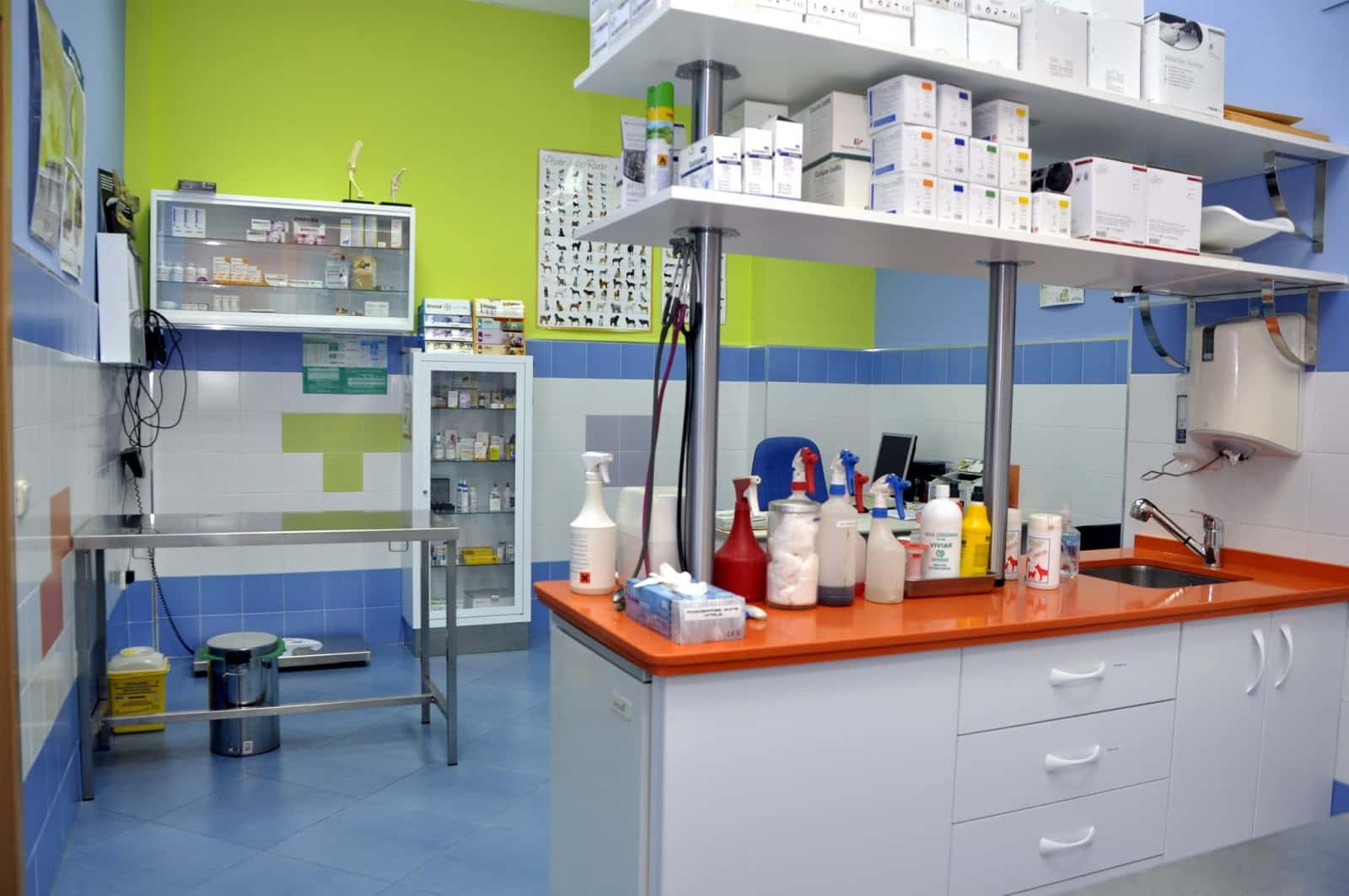 neovet veterinarios veterinario centro en olivenza en badajoz principalImage ADOPTA Sitios Pet Friendly