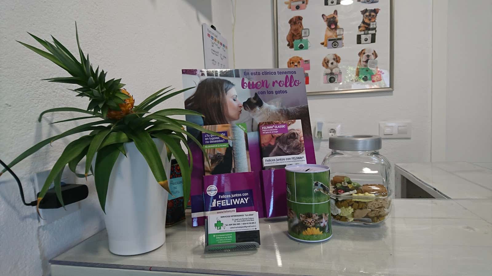 VETERINARIOS LA JARA