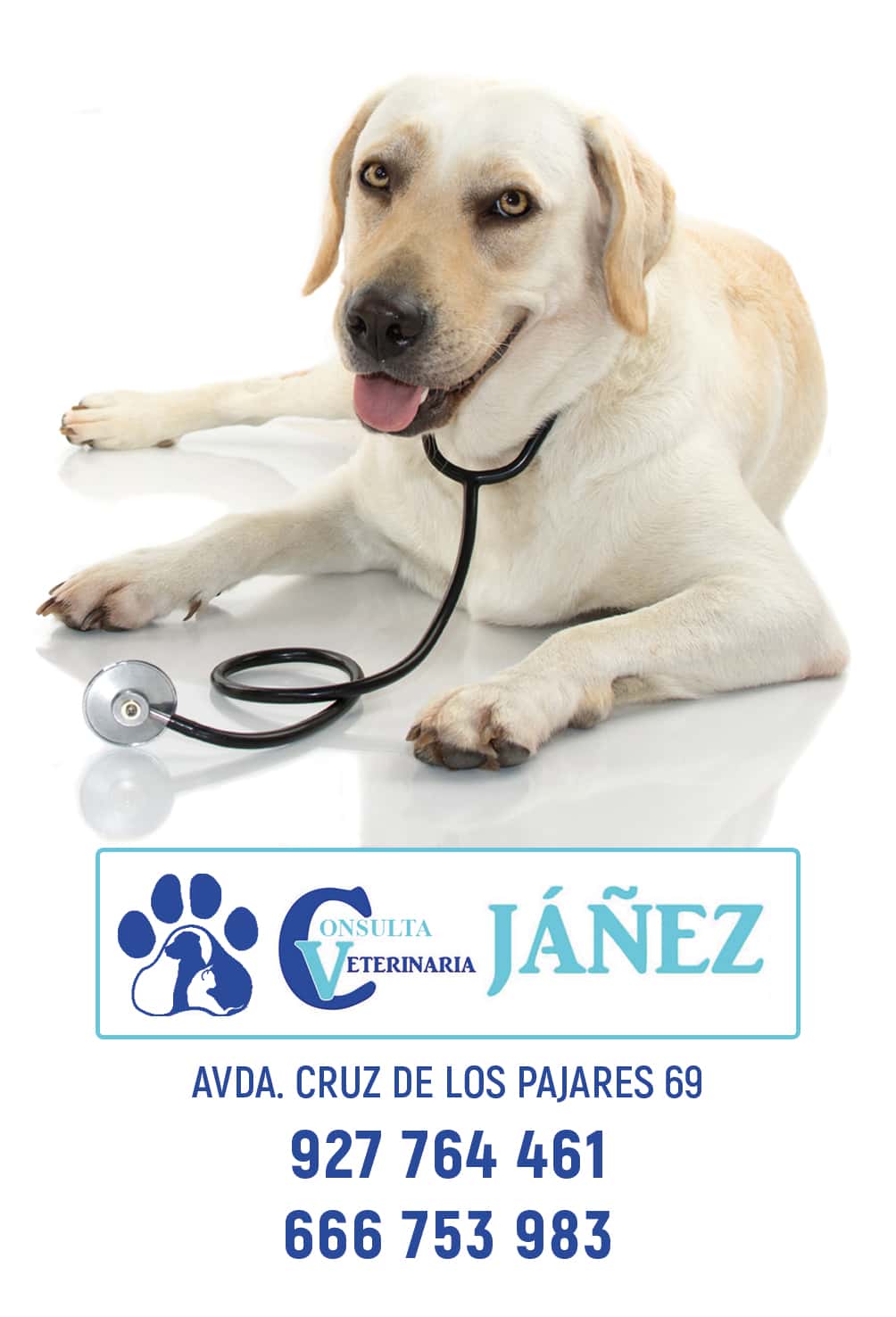 consulta veterinaria janez veterinario centro en miajadas en caceres principalImage ADOPTA Sitios Pet Friendly