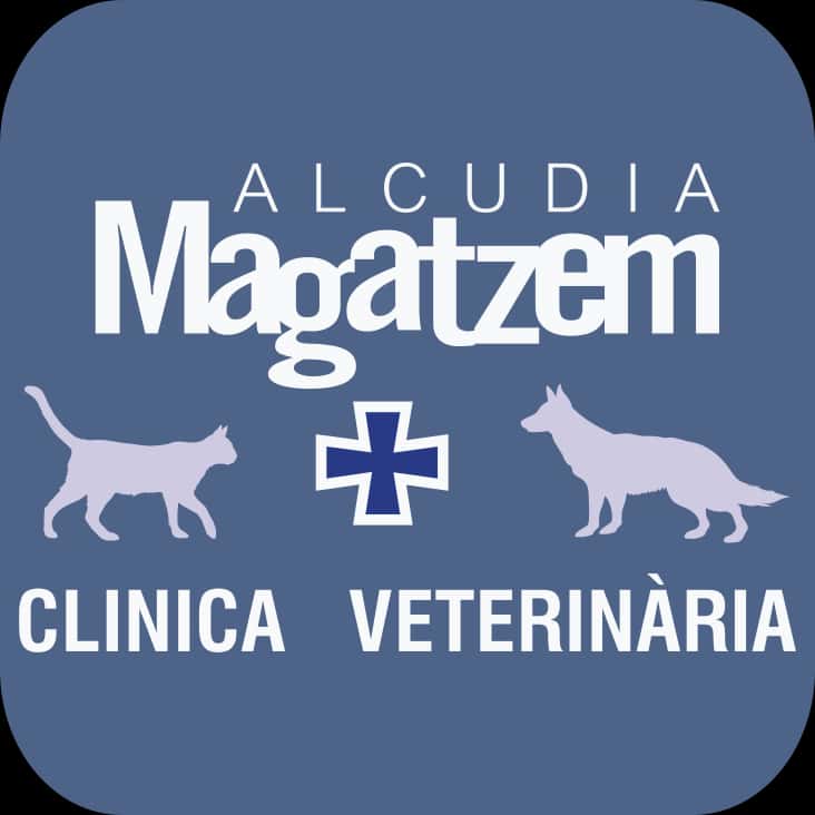 alcudia magatzem clinica veterinaria veterinario clinica en alcudia en illes balears principalImage ADOPTA Sitios Pet Friendly