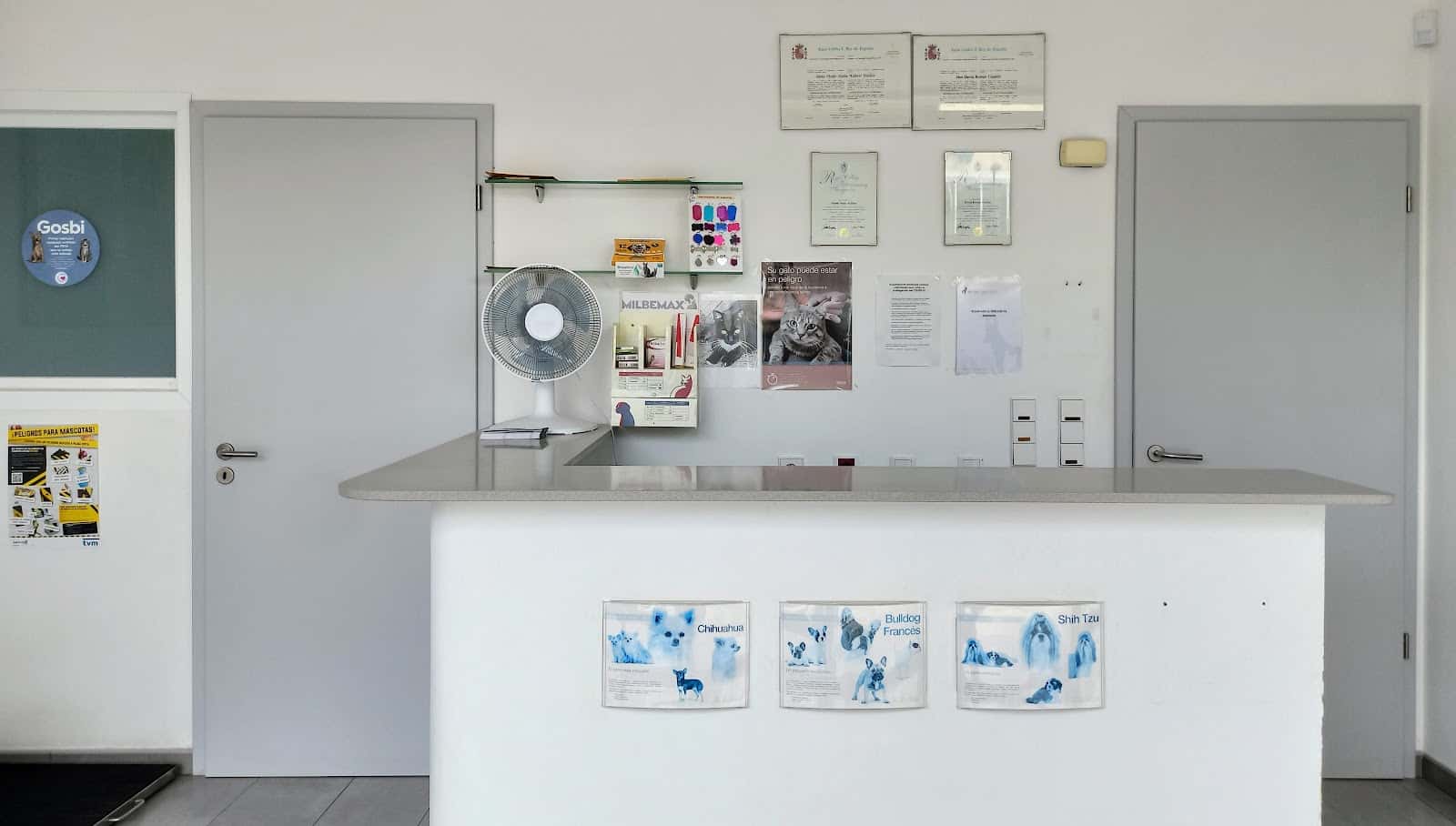 Ibican Clinica Veterinaria