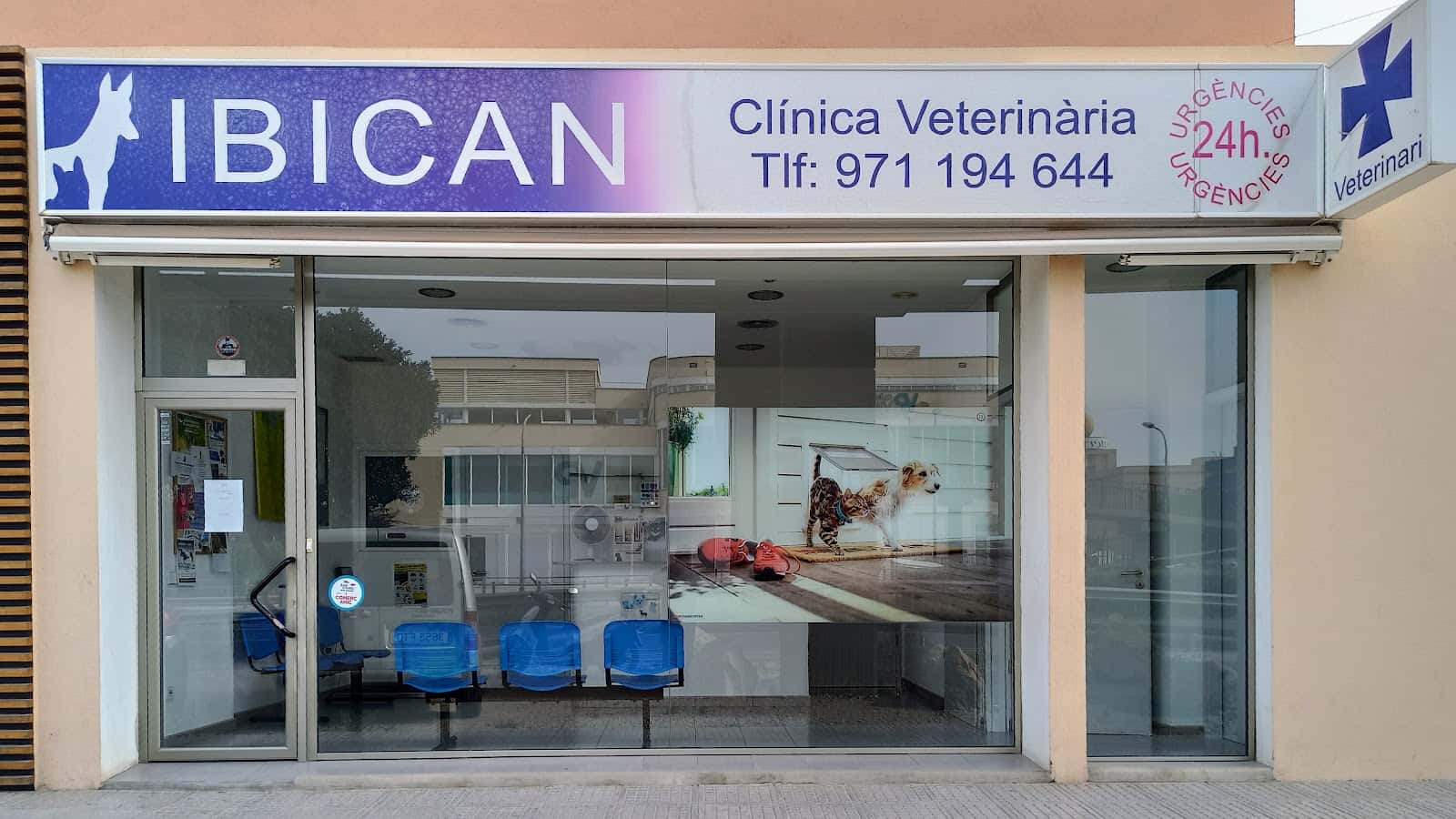 ibican clinica veterinaria veterinario clinica en eivissa en illes balears principalImage ADOPTA Sitios Pet Friendly