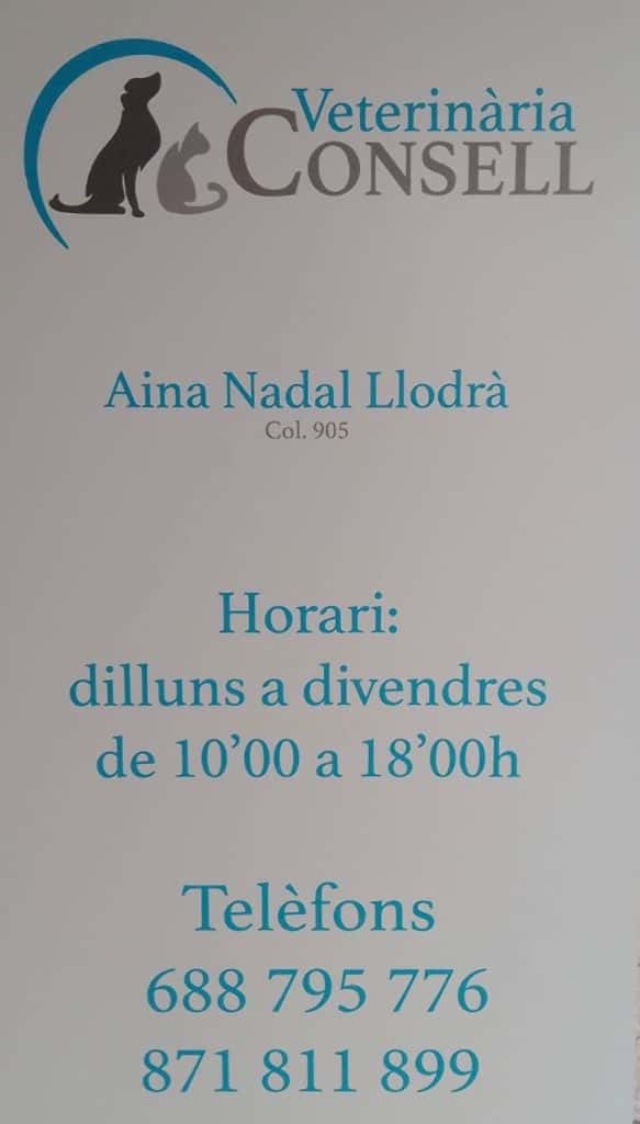veterinaria consell veterinario centro en consell en illes balears photo undefined ADOPTA Sitios Pet Friendly