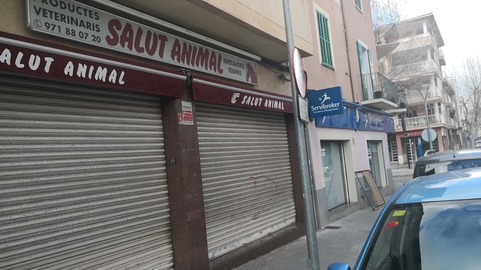 salut animal veterinario centro en inca en illes balears principalImage ADOPTA Sitios Pet Friendly