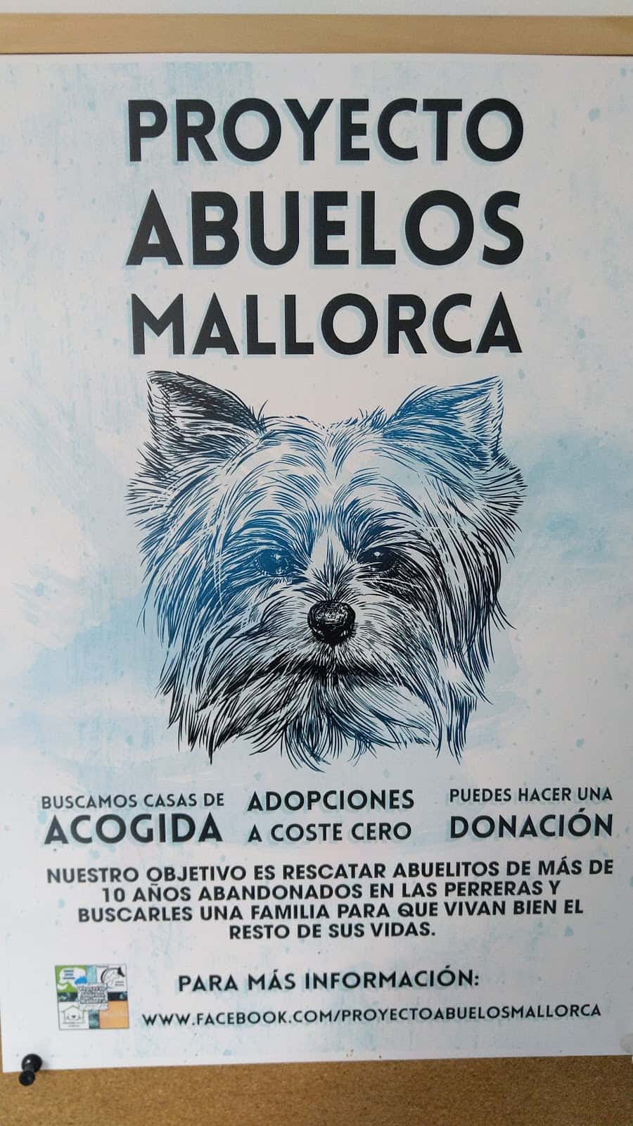 Centro Veterinario Animal Dharma