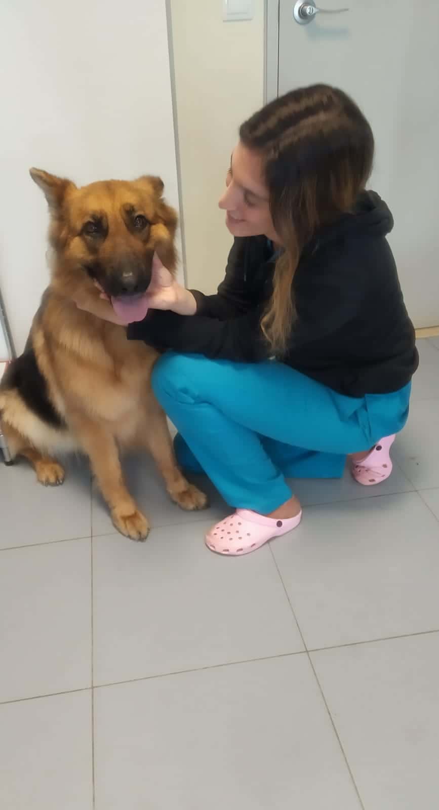 Clínica Veterinària Ca'n Picafort