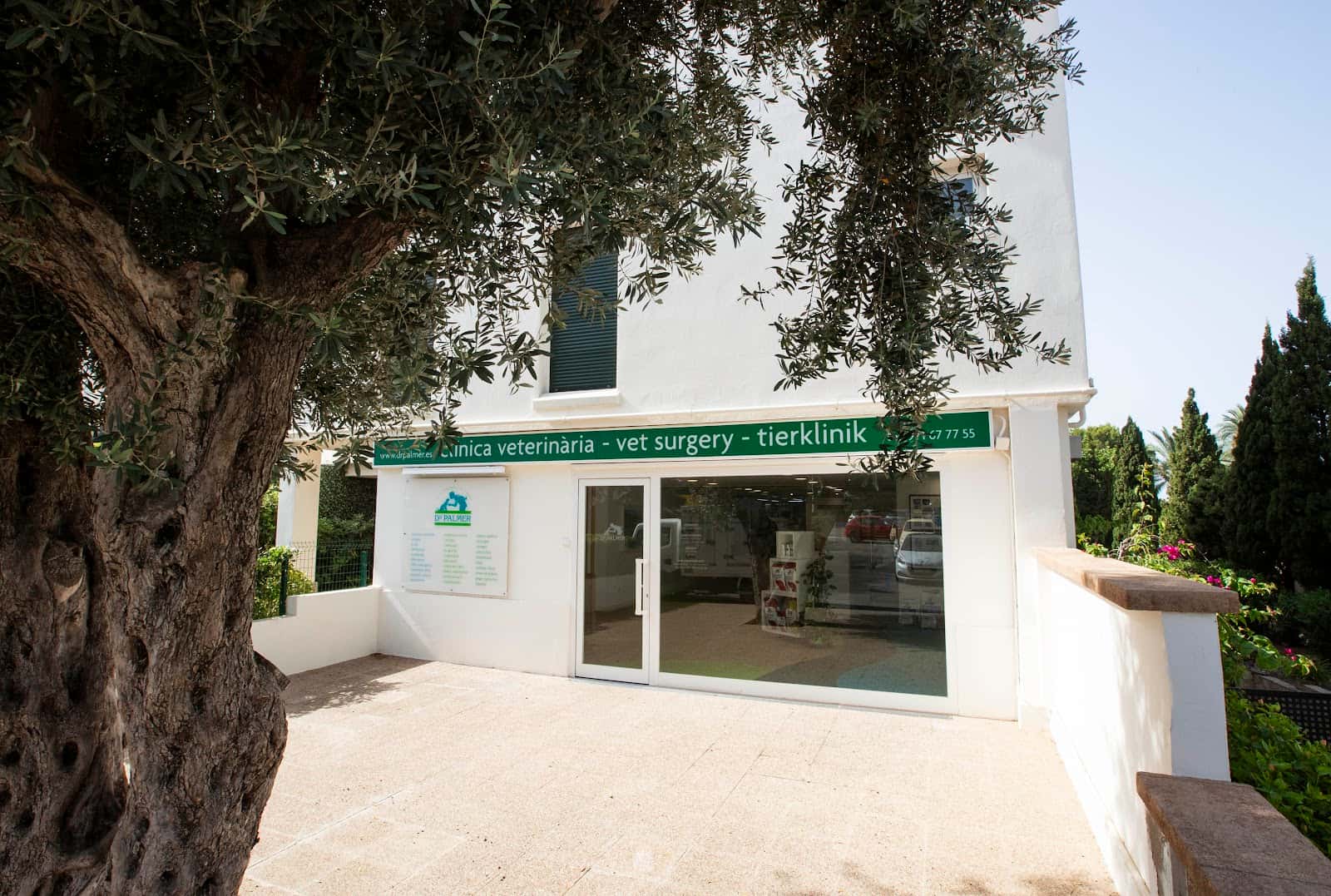 clinica veterinaria dr  palmer veterinario clinica en costa d en blanes en illes balears principalImage ADOPTA Sitios Pet Friendly