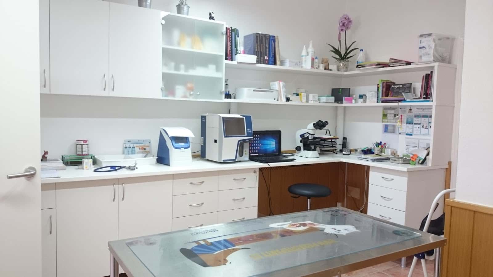 veterinaria san telmo veterinario centro en andratx en illes balears photo undefined ADOPTA Sitios Pet Friendly