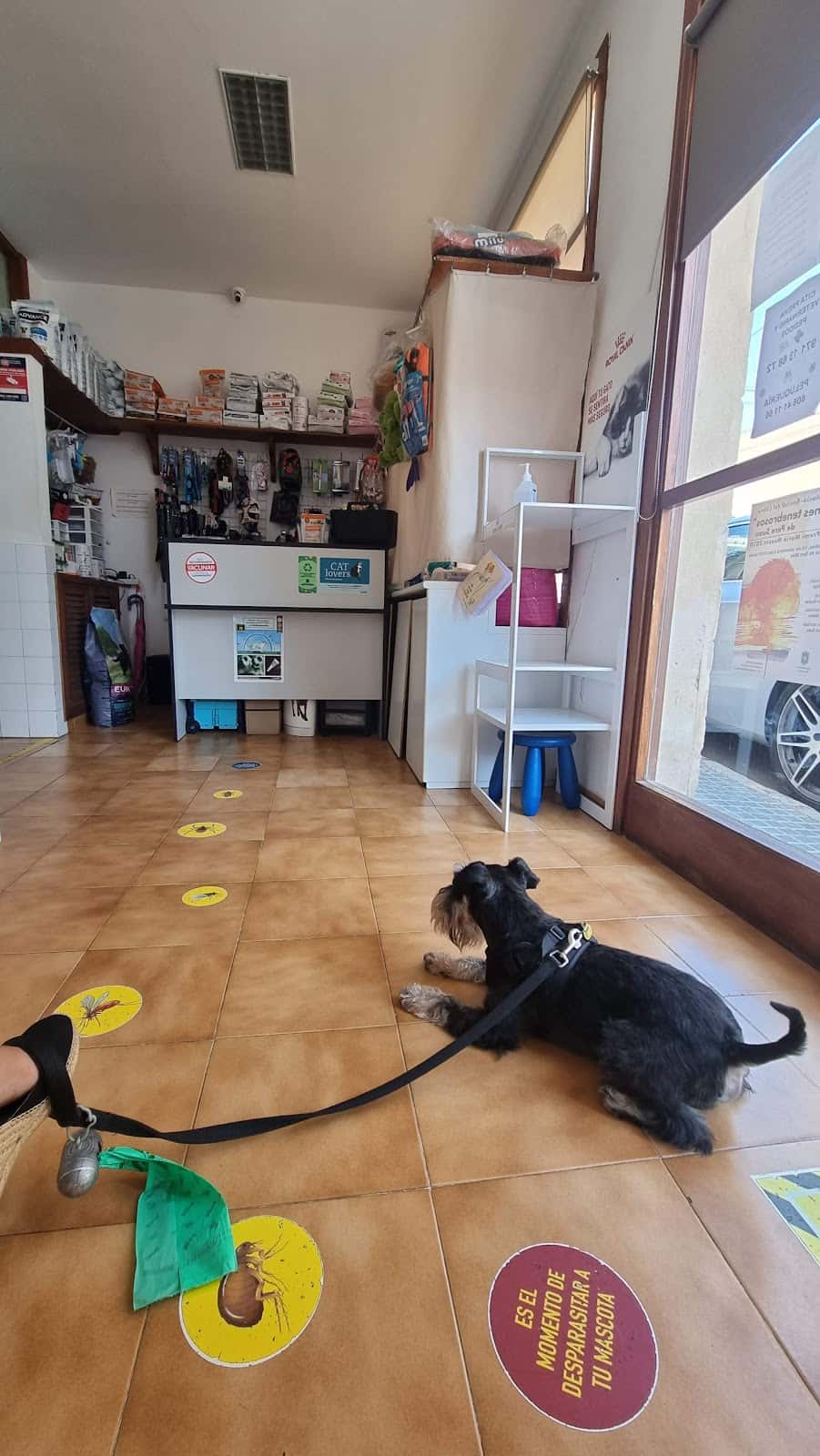 Servicio Veterinario Andratx