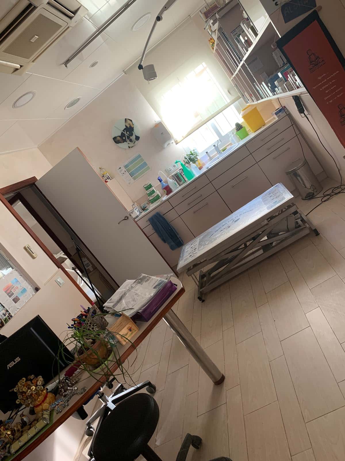 Clínica Veterinària La Savina