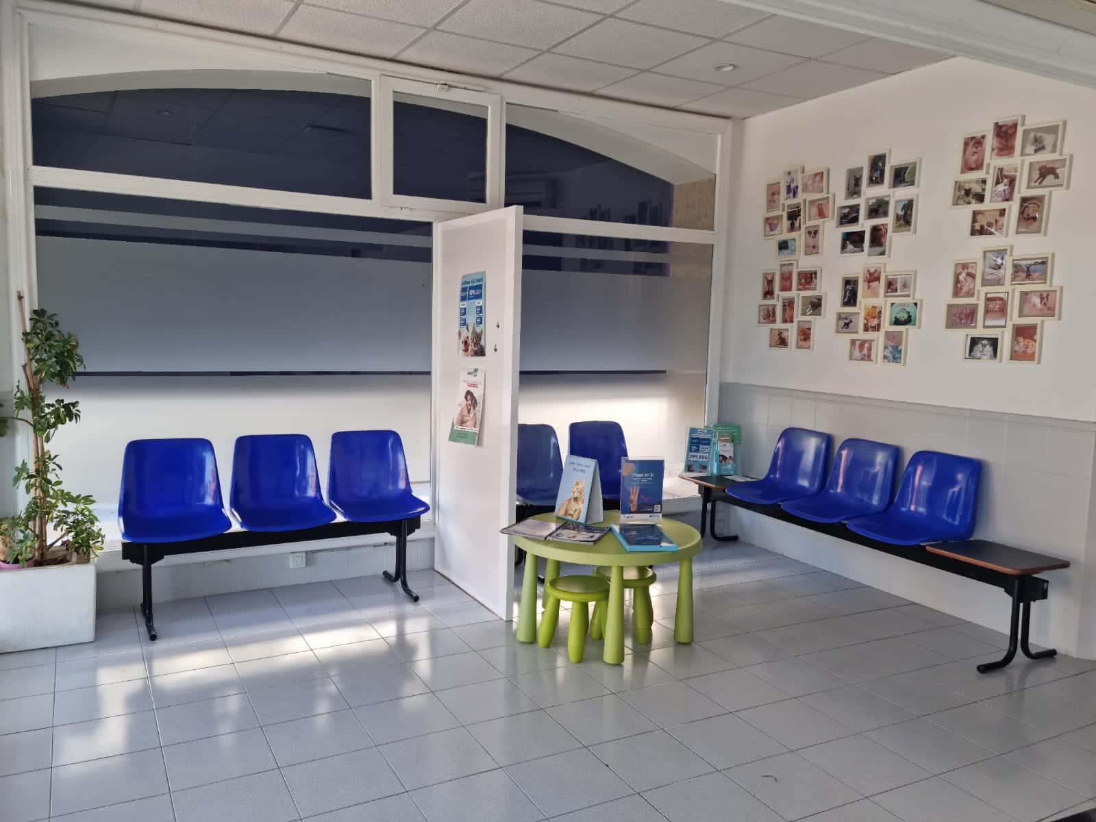clinica veterinaria alcudia mivet veterinario clinica en alcudia en illes balears principalImage ADOPTA Sitios Pet Friendly