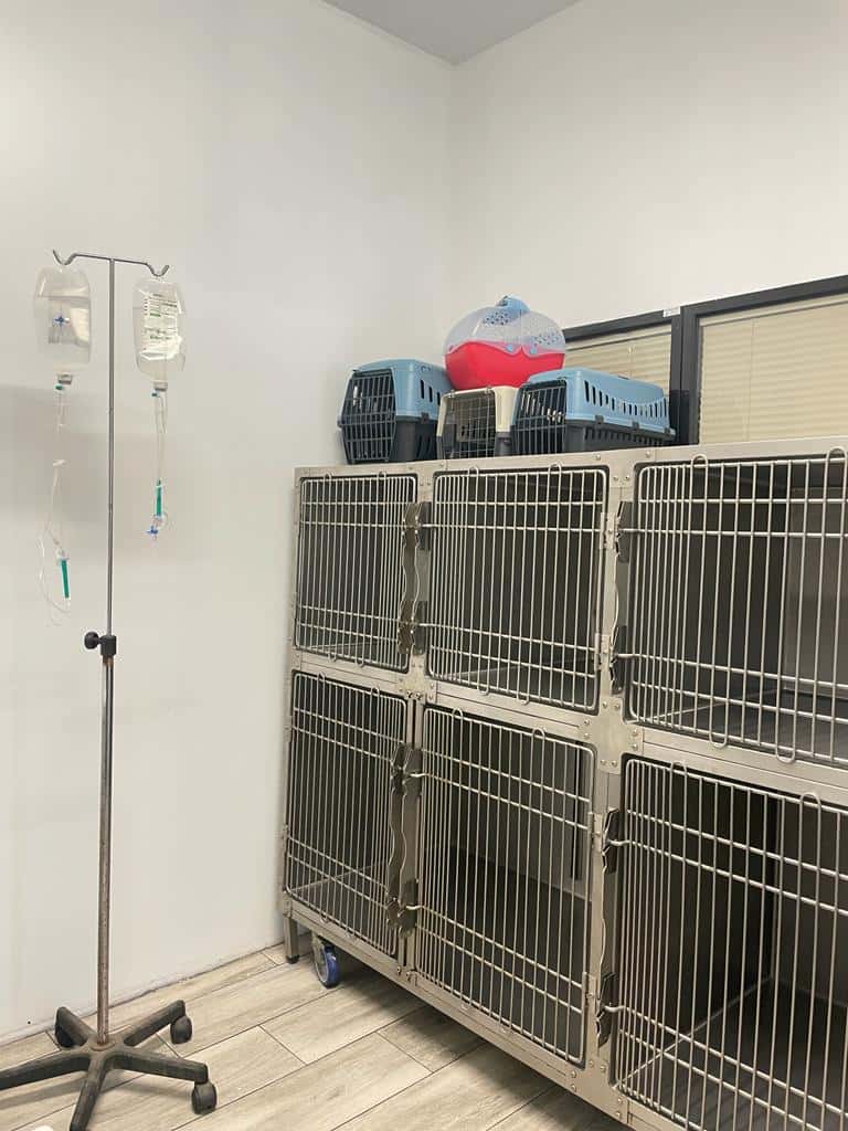 Centro Veterinario Palmanyola