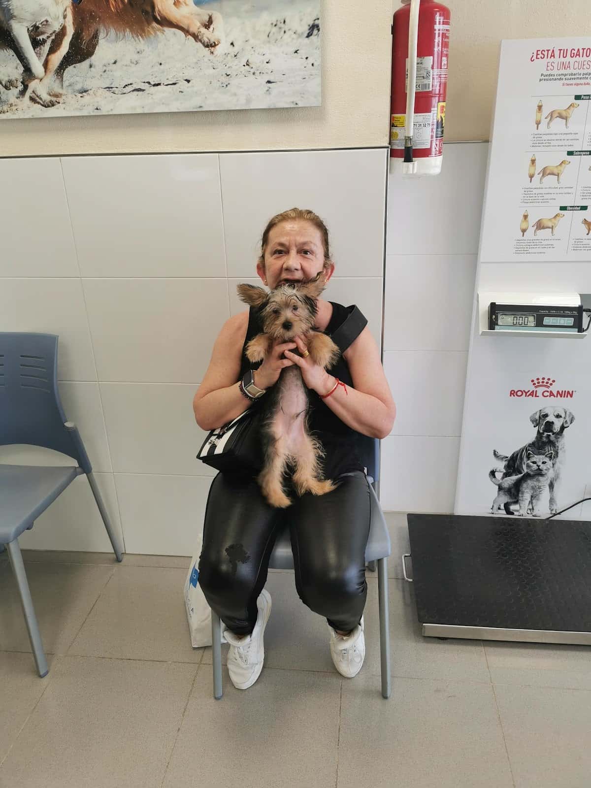Clínica Veterinaria Eivivet