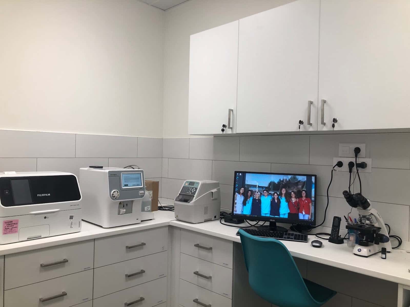 kivet salud animal veterinario centro en manacor en illes balears principalImage ADOPTA Sitios Pet Friendly