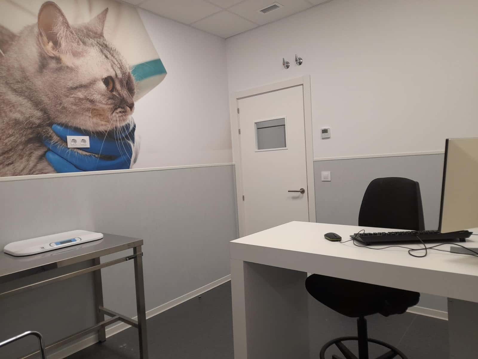mivet hospital veterinario mallorca veterinaris veterinario hospital en manacor en illes balears principalImage ADOPTA Sitios Pet Friendly