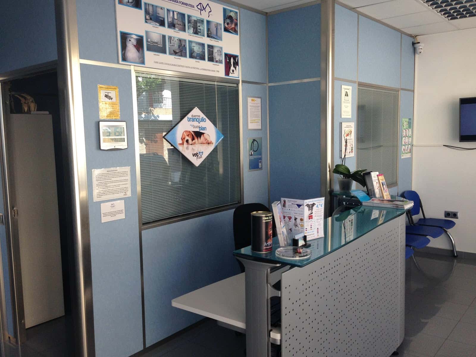 clinica veterinaria formentera veterinario clinica en sant ferran de ses roques en illes balears photo undefined ADOPTA Sitios Pet Friendly