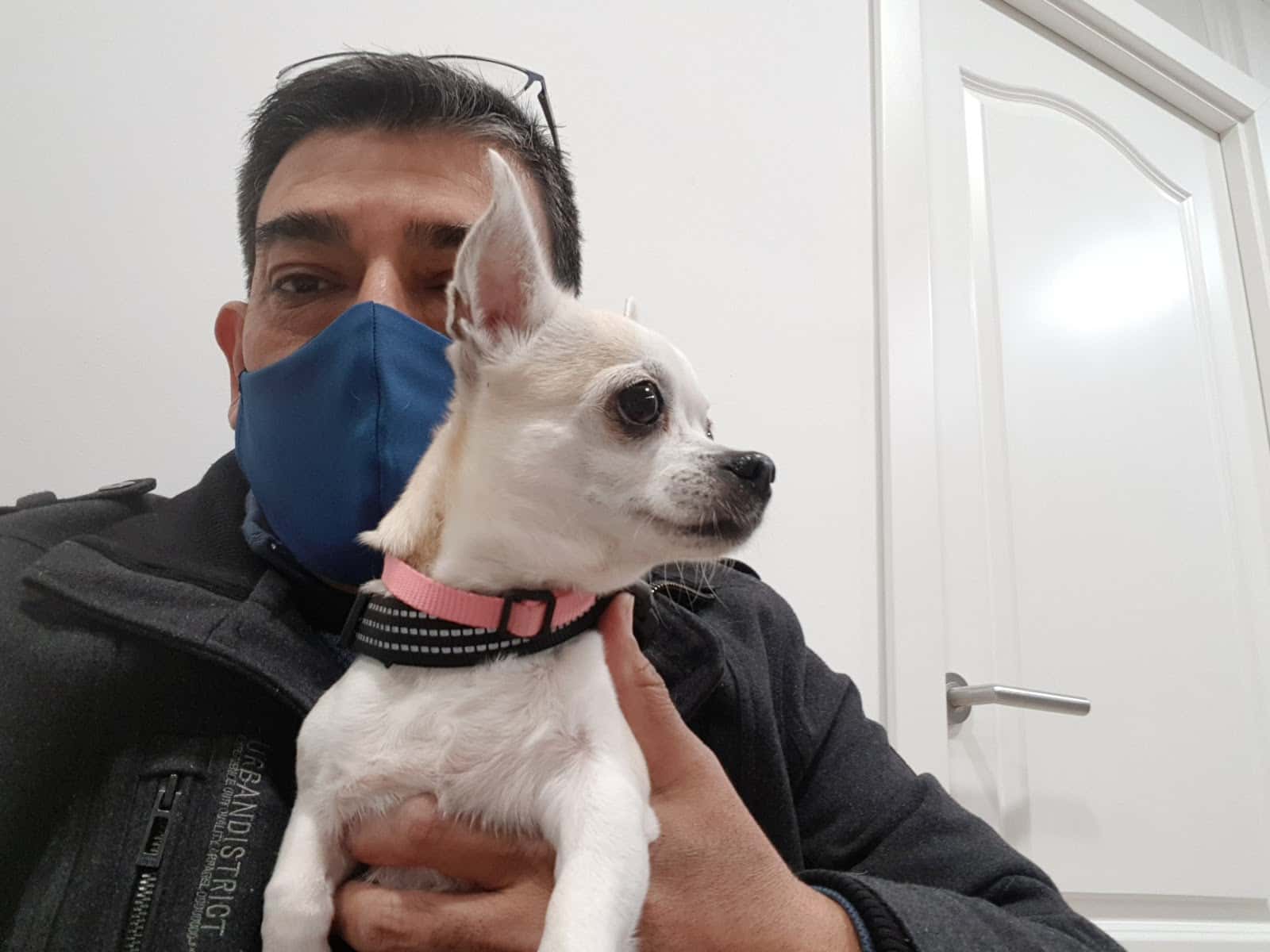 clinica veterinaria vetsciutadella veterinario clinica en ciutadella de menorca en illes balears principalImage ADOPTA Sitios Pet Friendly