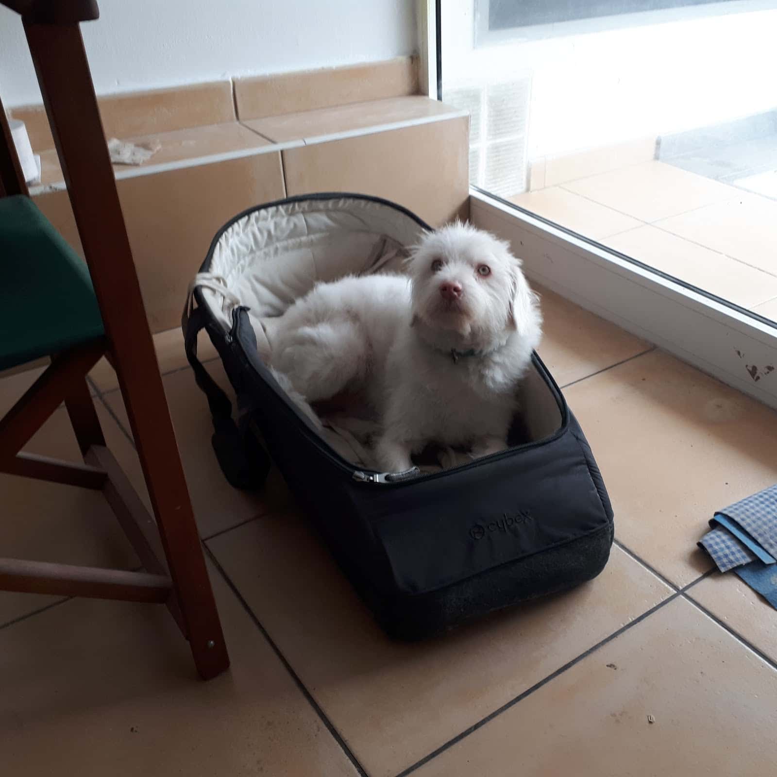 Clínica Veterinaria Pérez Sintes