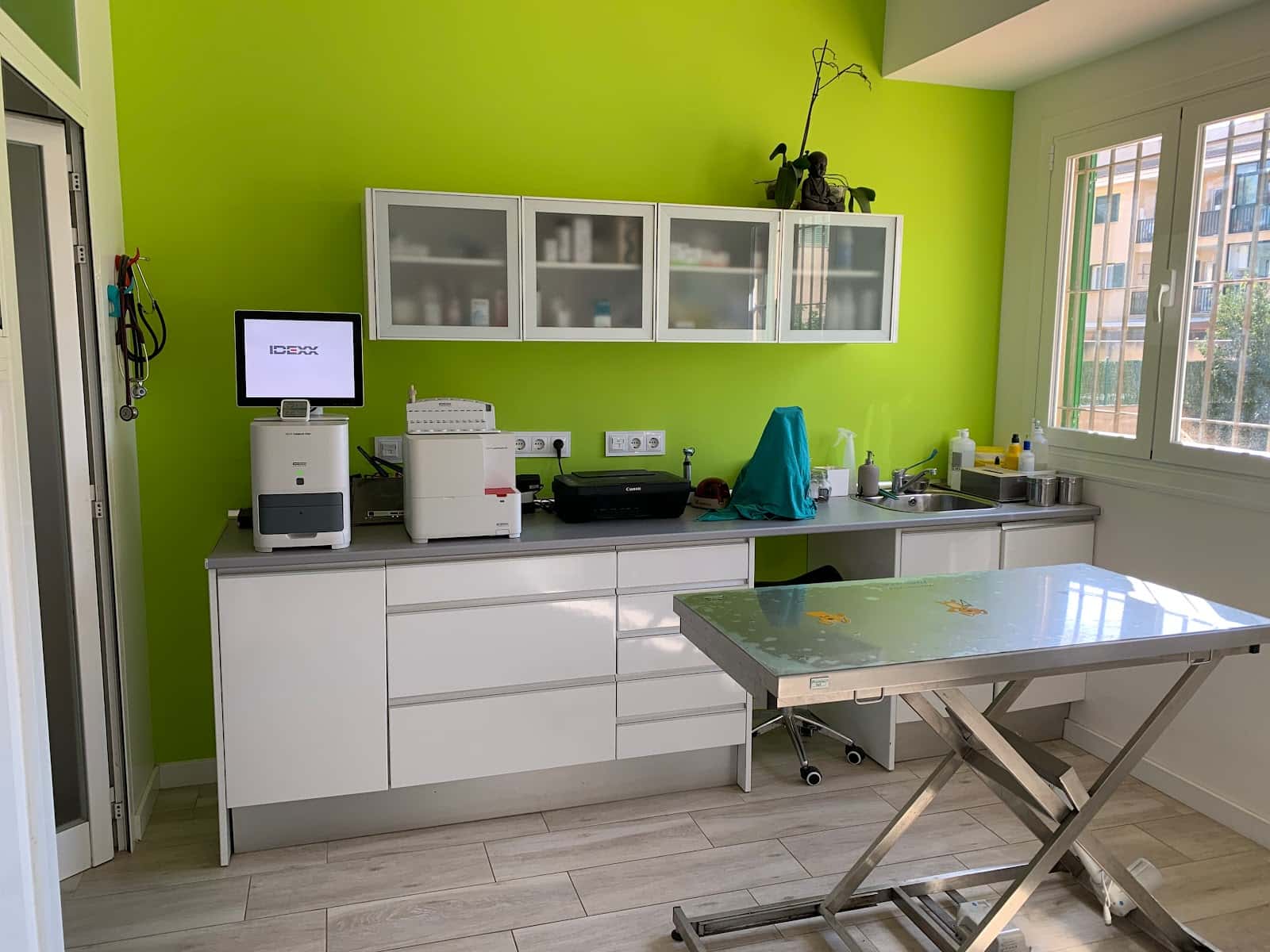 Clinica Veterinaria Santa Maria