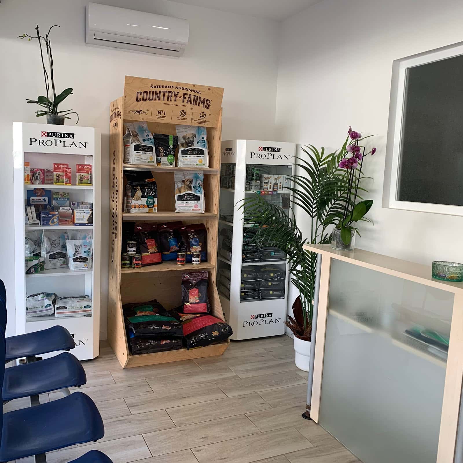 Clinica Veterinaria Santa Maria