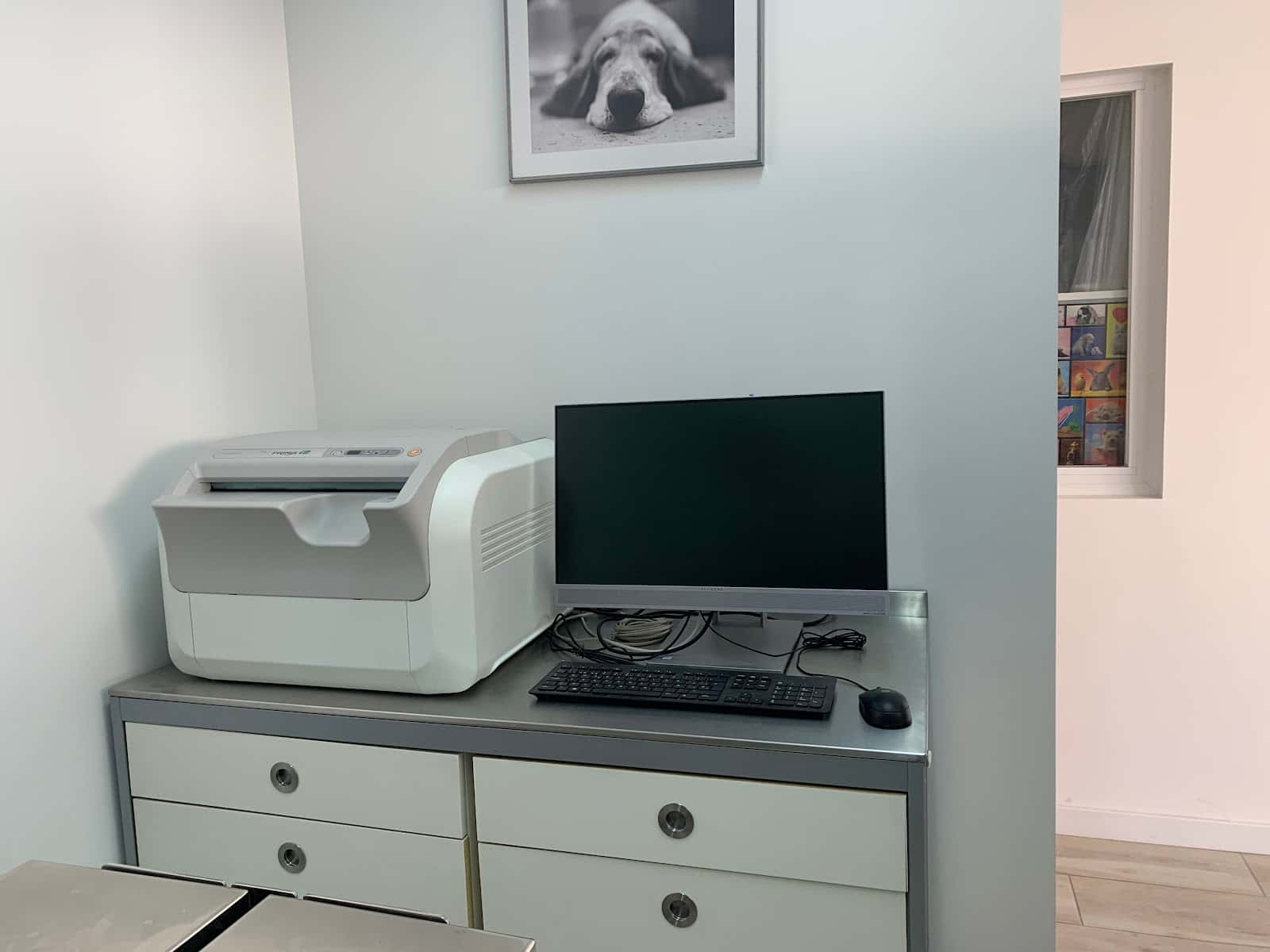 Clinica Veterinaria Santa Maria
