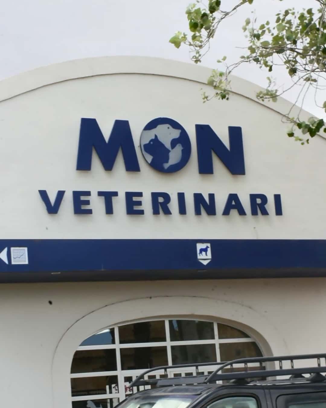 clinica veterinaria mon veterinari veterinario clinica en manacor en illes balears photo undefined ADOPTA Sitios Pet Friendly