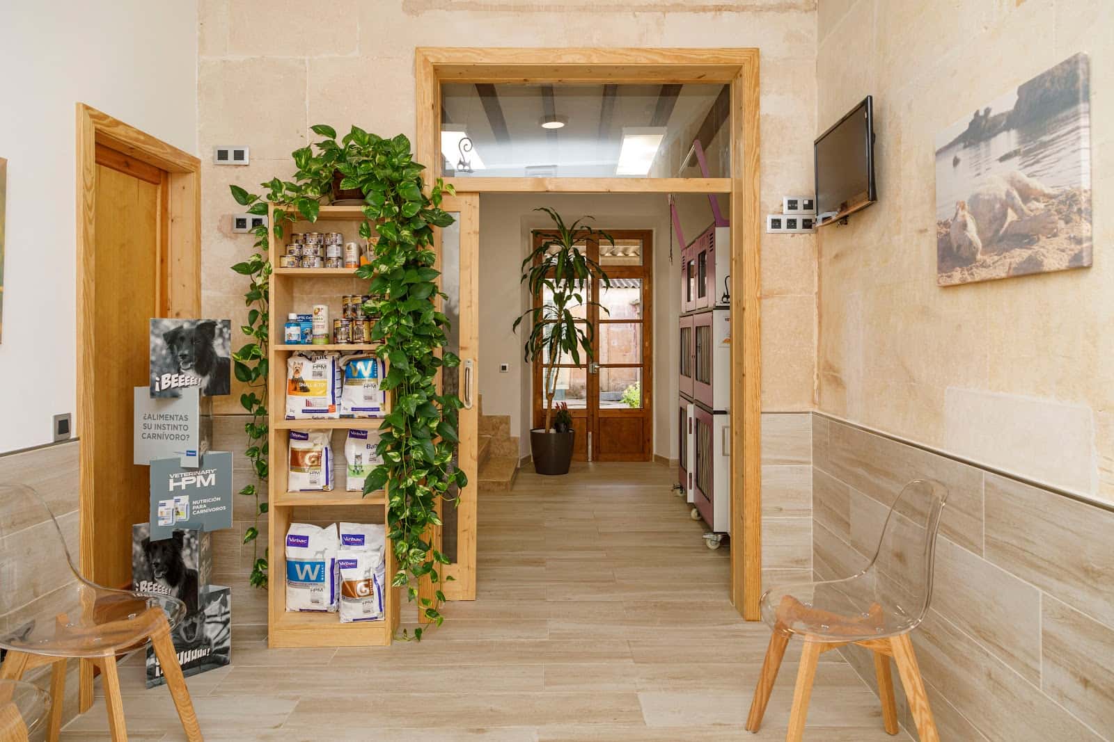 veterinaria porreres veterinario centro en porreres en illes balears photo undefined ADOPTA Sitios Pet Friendly