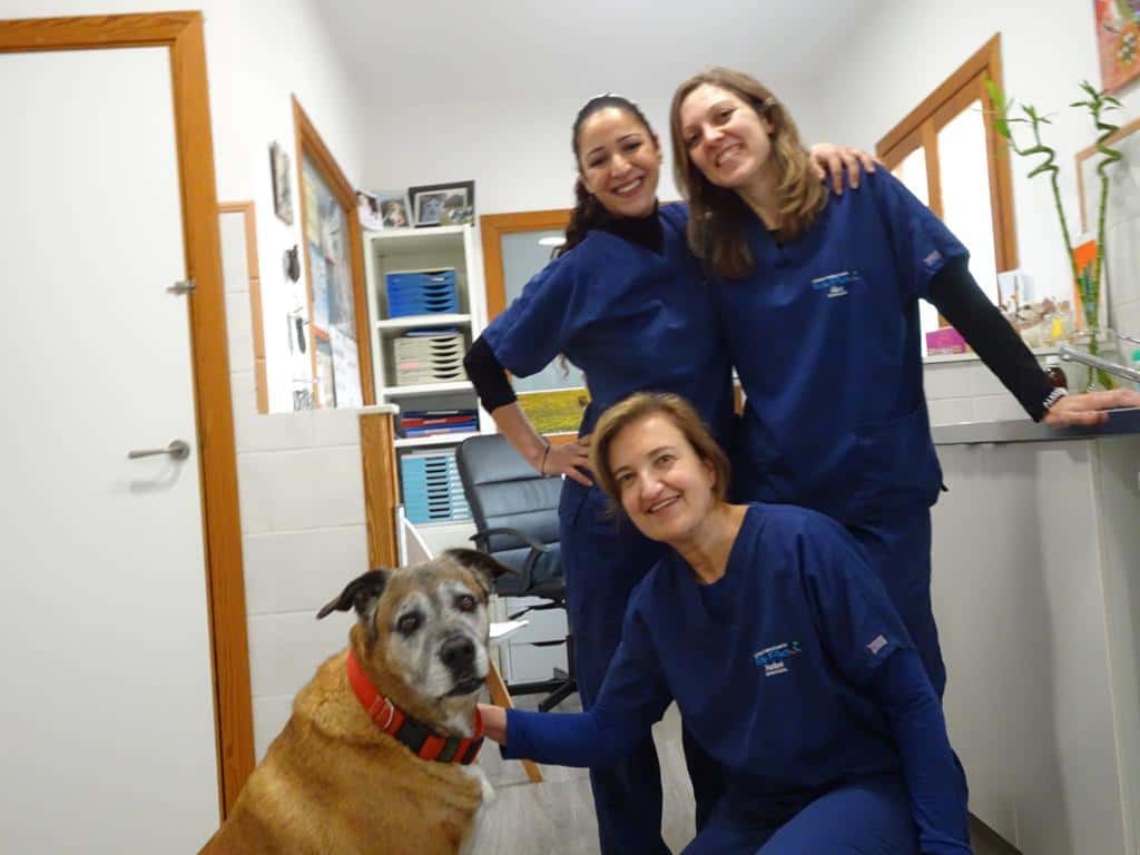 Clínica Veterinaria Es Pla - Porreres