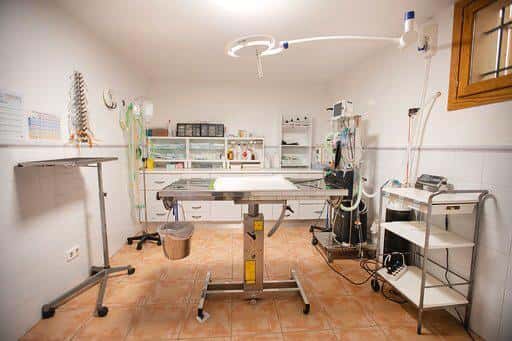 Clínica Veterinaria Es Pla - Porreres